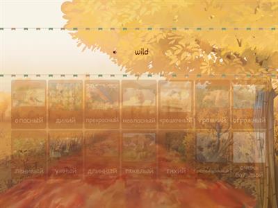 Own it 1. Unit 7 Adjectives