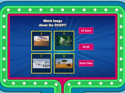  ALL ABOUT THE DESERT