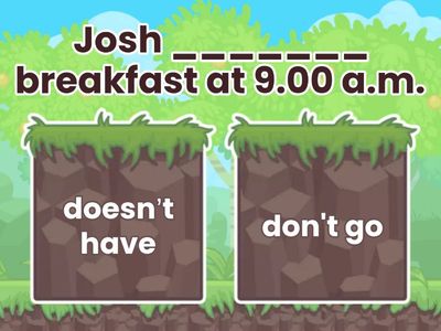   Present Simple (+/-/?)