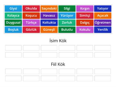 İsim Kök / Fiil Kök