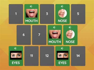 MEMORY GAME parts of the face