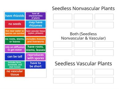 Seedless Plant Venn Diagram