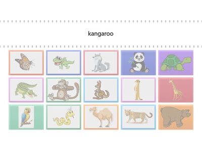  Academy Stars 3 Animals