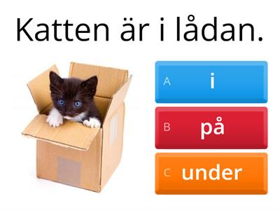 Prepositioner 1: Svenska i, på, under