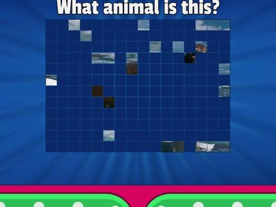 Unit 4: Ocean life - Guess the animal 