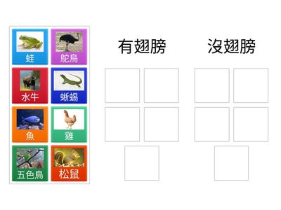 1124動物分類(有無翅膀)