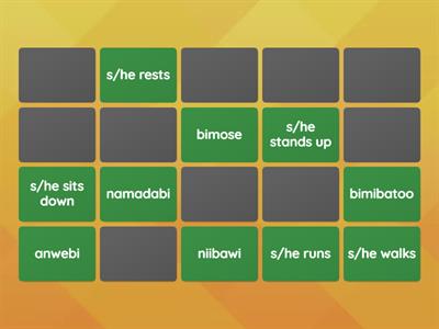 Student Led Lesson-VAI Terms