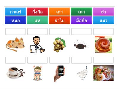 Y1 Revise จับคู่คำสระ แอ อือ ออ อำ เอา