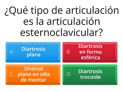 ANATOMIA ARTICULACIONES Y LIGAMENTOS 