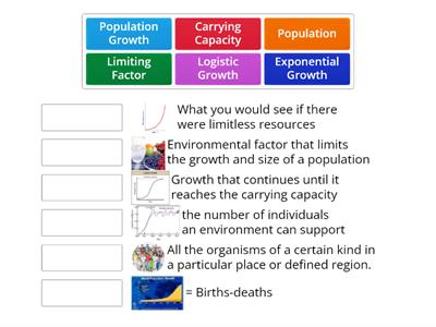 Population Dynamics