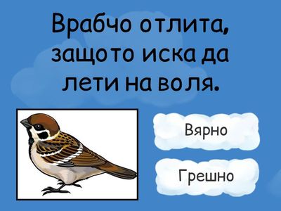  Вярно или грешно. Врабчо отлита, защото...