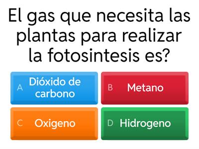 LA FOTOSINTESIS.