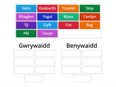 Gwrywaidd neu Benywaidd?