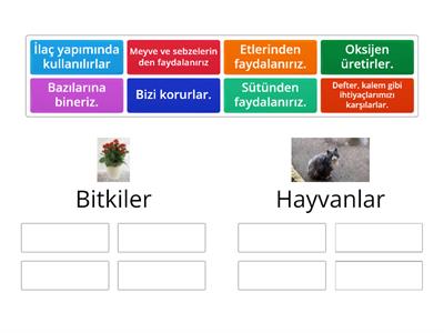 bitkiler ve hayvanlar