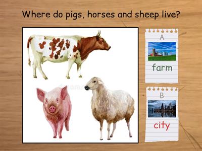 Answering Questions: Where?