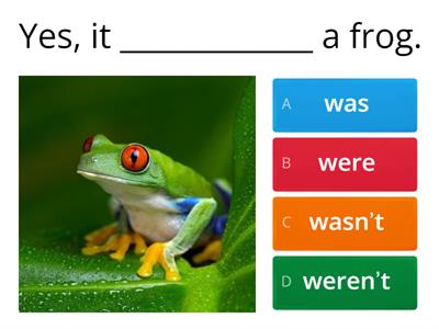 English 3º Unit 5 Grammar