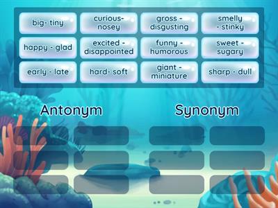 Antonym/Synonym SORT