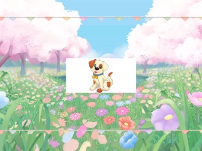 Звук і буква С