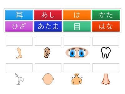 BODY PARTS - JAPANESE SYMBOLS