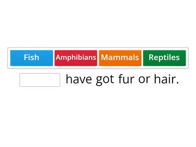 Tiger 3. Unit 2. Animal groups