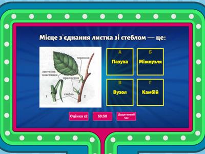  Будова листка та його видозміна