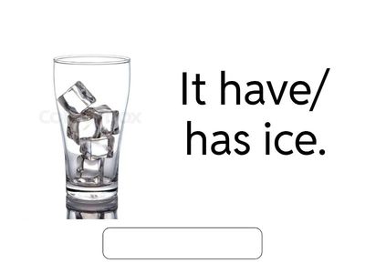 Concord Using have/has