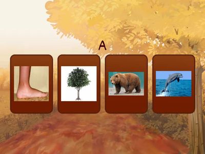 CONSCIÈNCIA FONOLÒGICA 12/09