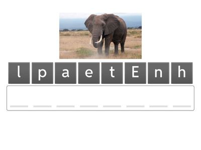 Animal game spelling