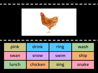 U10 Consonant Blends & Digraphs