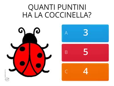 CONTIAMO CON LA COCCINELLA 