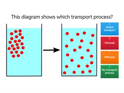 Diffusion Osmosis and Active transport