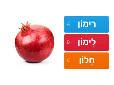 ראש השנה-חולם