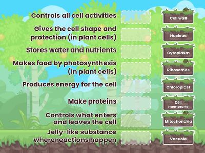 Parts of the Cell — Biology Activity