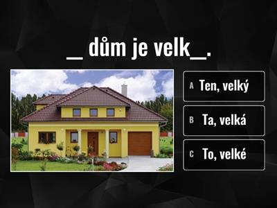 TEN, TA, TO + adjektiva