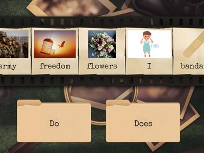 Auxiliary verbs (Do/Does)