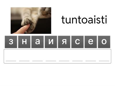 Aistit. YM 5.lk CLIL su-ve