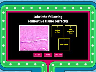 Epithelial & Connective Tissues Review