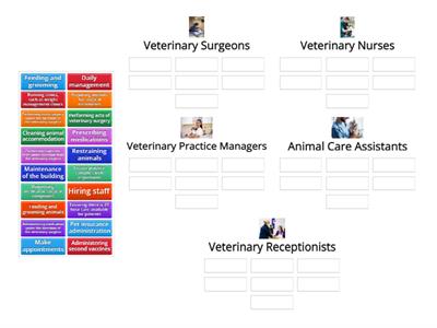 Roles in a veterinary Practice