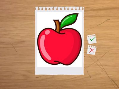 VERDADERO O FALSO EN JUEGO DE PALABRAS