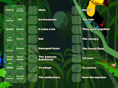 S1 Rainforest (Spanish Vocabulary)