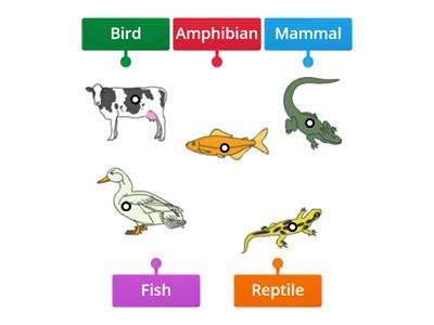 Vertebrates