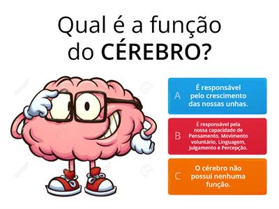 Quais são as funcões de cada parte do nosso corpo?