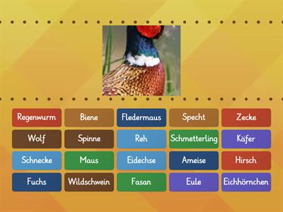 Tiere im Wald - für Profis 3