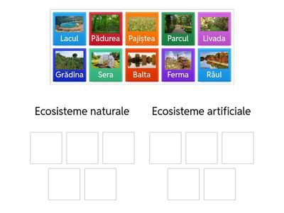 Ecosistem, clasa a 5-a
