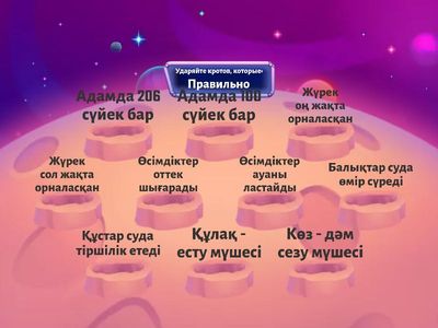 Дұрыс бұрыс