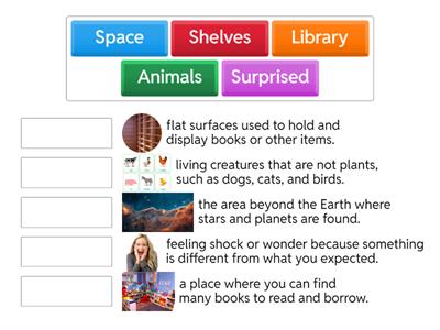 Library Visit Vocabulary Practice