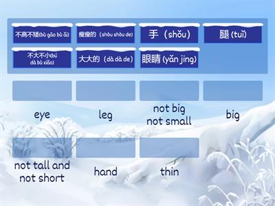 G3 N2B Unit 1 Appearance