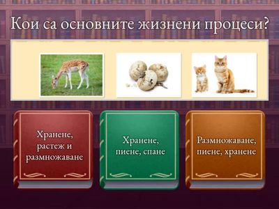 Викторина човекът и природата 3 клас ( Организмите и тяхната среда на живот)