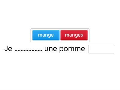 Les verbes du premier groupe 