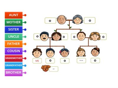My family tree